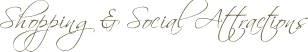 Shopping and Social Attractions